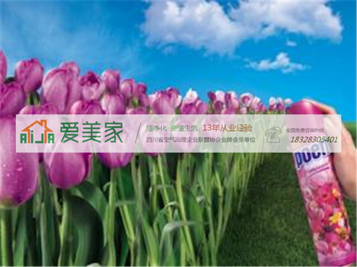 妄图通过空气清新剂来清除甲醛的人们醒醒吧! 妄图通过空气清新剂来清除甲醛的人们醒醒吧!
