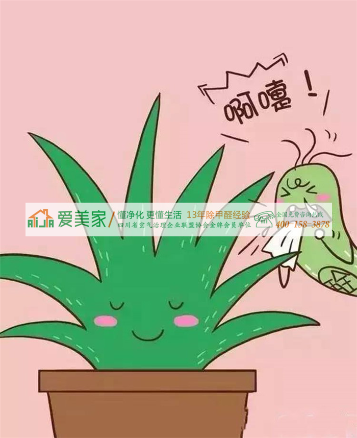 甲醛小贱人居然给我来信了,求我放过它! 甲醛小贱人居然给我来信了,求我放过它!