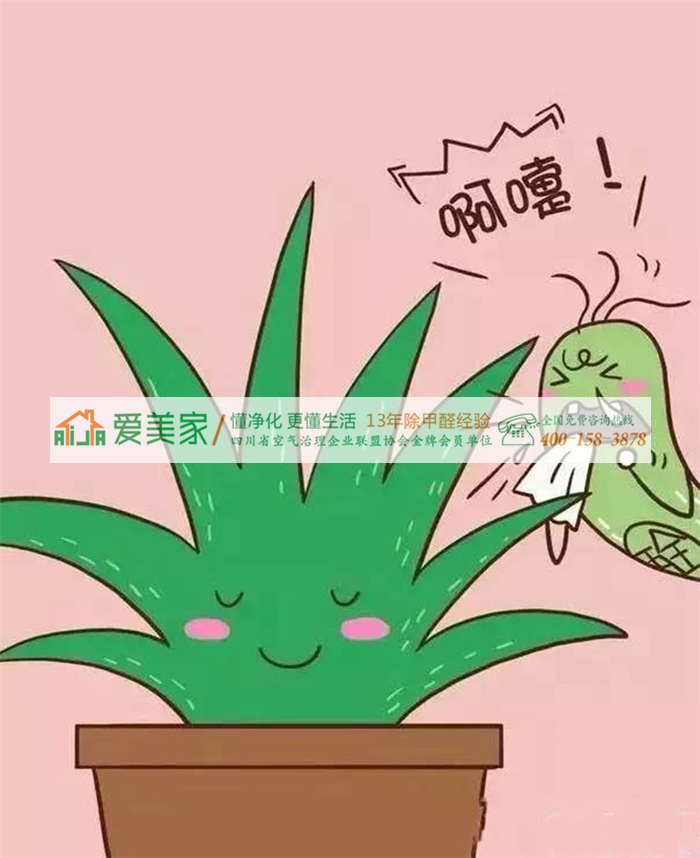 甲醛小贱人居然给我来信了,求我放过它！