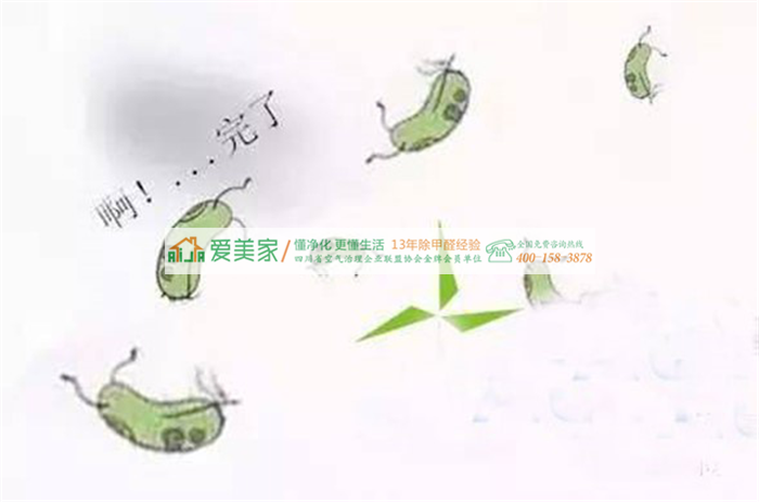甲醛小贱人居然给我来信了,求我放过它! 甲醛小贱人居然给我来信了,求我放过它!