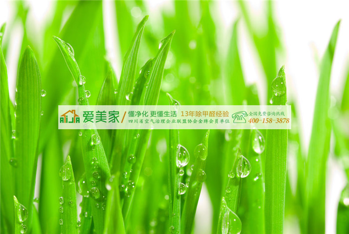 网上除甲醛方法那么多,哪种方法除甲醛更彻底呢? 网上除甲醛方法那么多,哪种方法除甲醛更彻底呢?