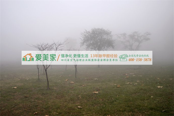 空气净化,这些细节也不能麻痹大意 空气净化,这些细节也不能麻痹大意