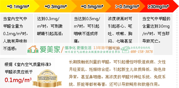 虎尾兰除了能收拾甲醛还能收拾谁?