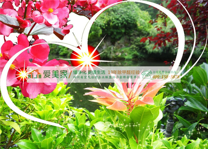 你确定还要用植物吸甲醛吗?实验证明但并不那么给力 你确定还要用植物吸甲醛吗?实验证明但并不那么给力