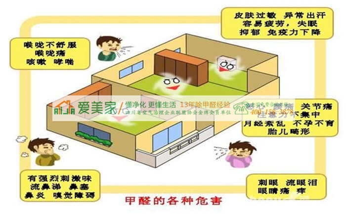 你确定还要用植物吸甲醛吗?实验证明但并不那么给力 你确定还要用植物吸甲醛吗?实验证明但并不那么给力