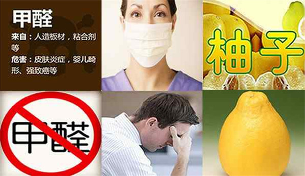 成都甲醛治理:网上的土方法对甲醛污染有用吗? 成都甲醛治理:网上的土方法对甲醛污染有用吗?