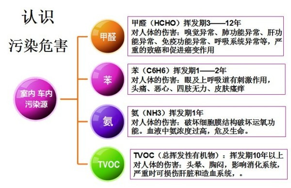 都说吊兰除甲醛杠杠的,是这样吗?