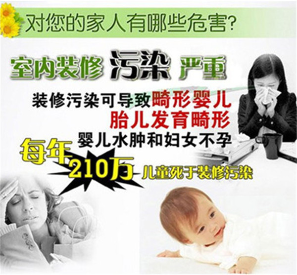 话说常春藤可除甲醛,怎么养好它? 话说常春藤可除甲醛,怎么养好它?