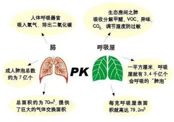 你吃一顿饭的时间就有一个人因室内污染而死亡