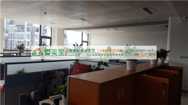 焦点访谈曝光除甲醛陷阱 可能除不了甲醛反而遭受二次污染 焦点访谈曝光除甲醛陷阱 可能除不了甲醛反而遭受二次污染